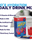 Kid's Daily Hydration Drink Mix - Fruit Punch